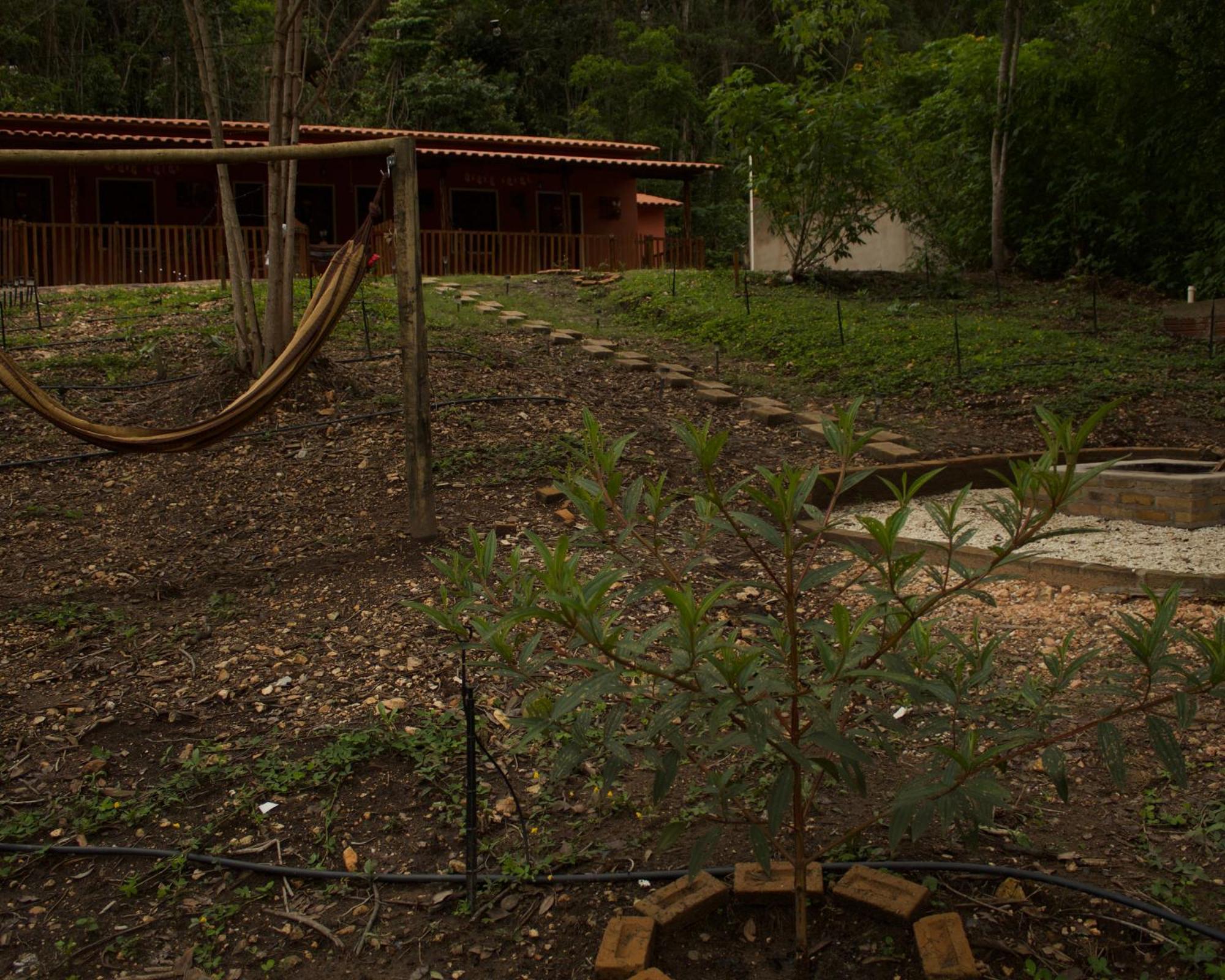 Lodge Chale Mascarenhas